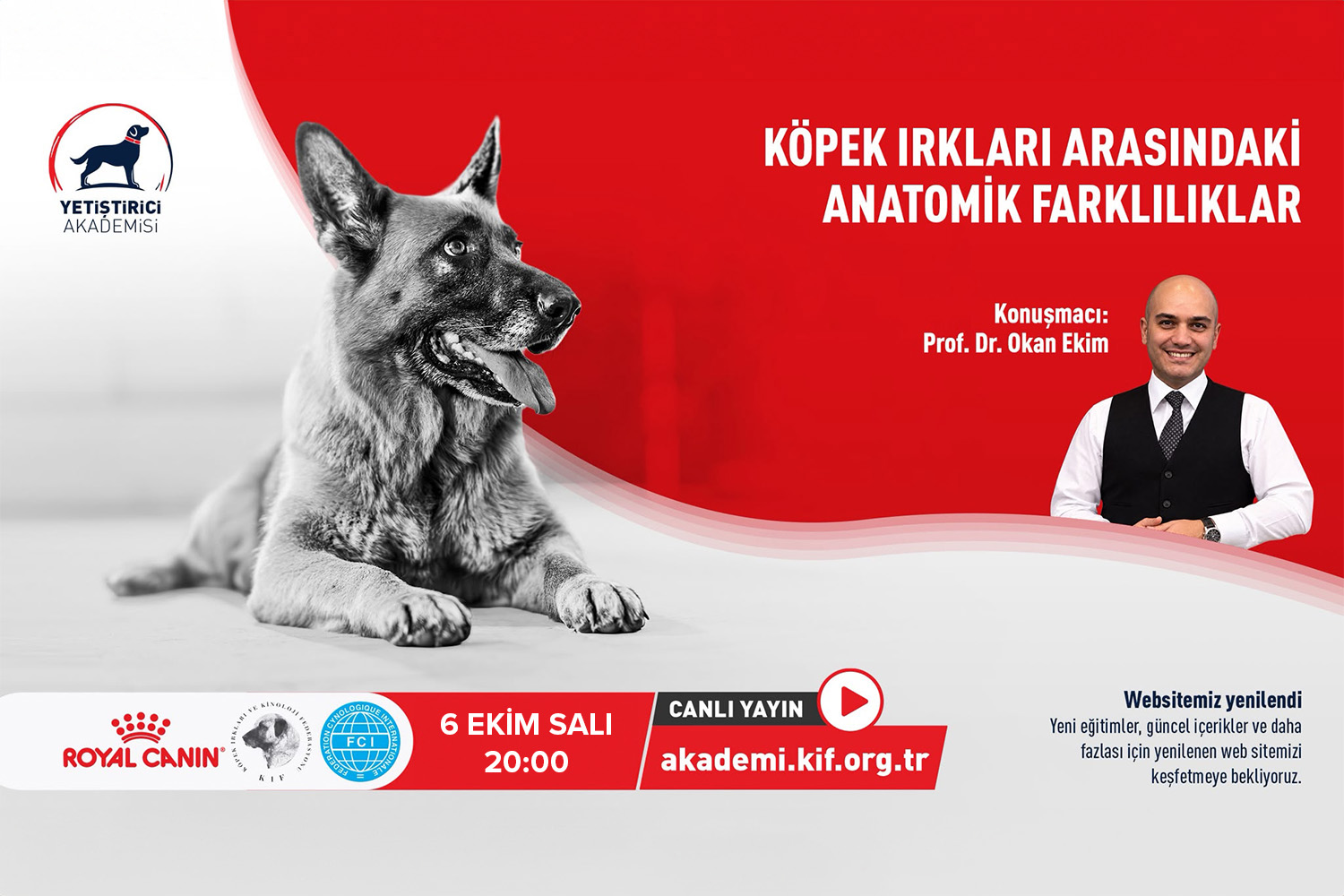 Köpek Irkları Arasındaki Anatomik Farklılıklar